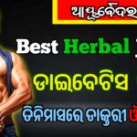Best Herbal juice for diabetes 2025 : ଡାଇବେଟିସ ରୋଗୀଙ୍କ ପାଇଁ ଅମୃତ